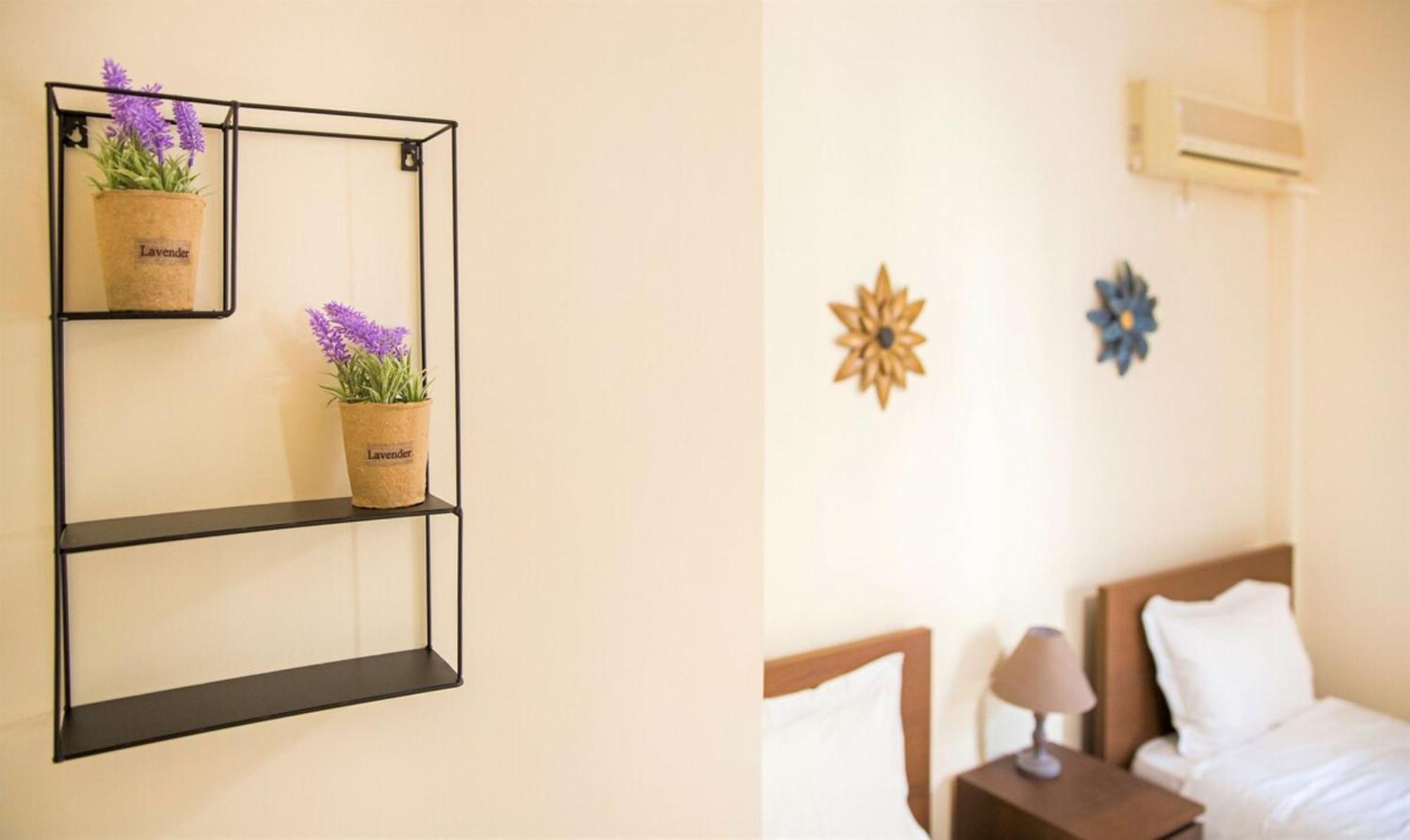 Peaceful Renovated Apartment Near Lycabettus Hill أثينا المظهر الخارجي الصورة