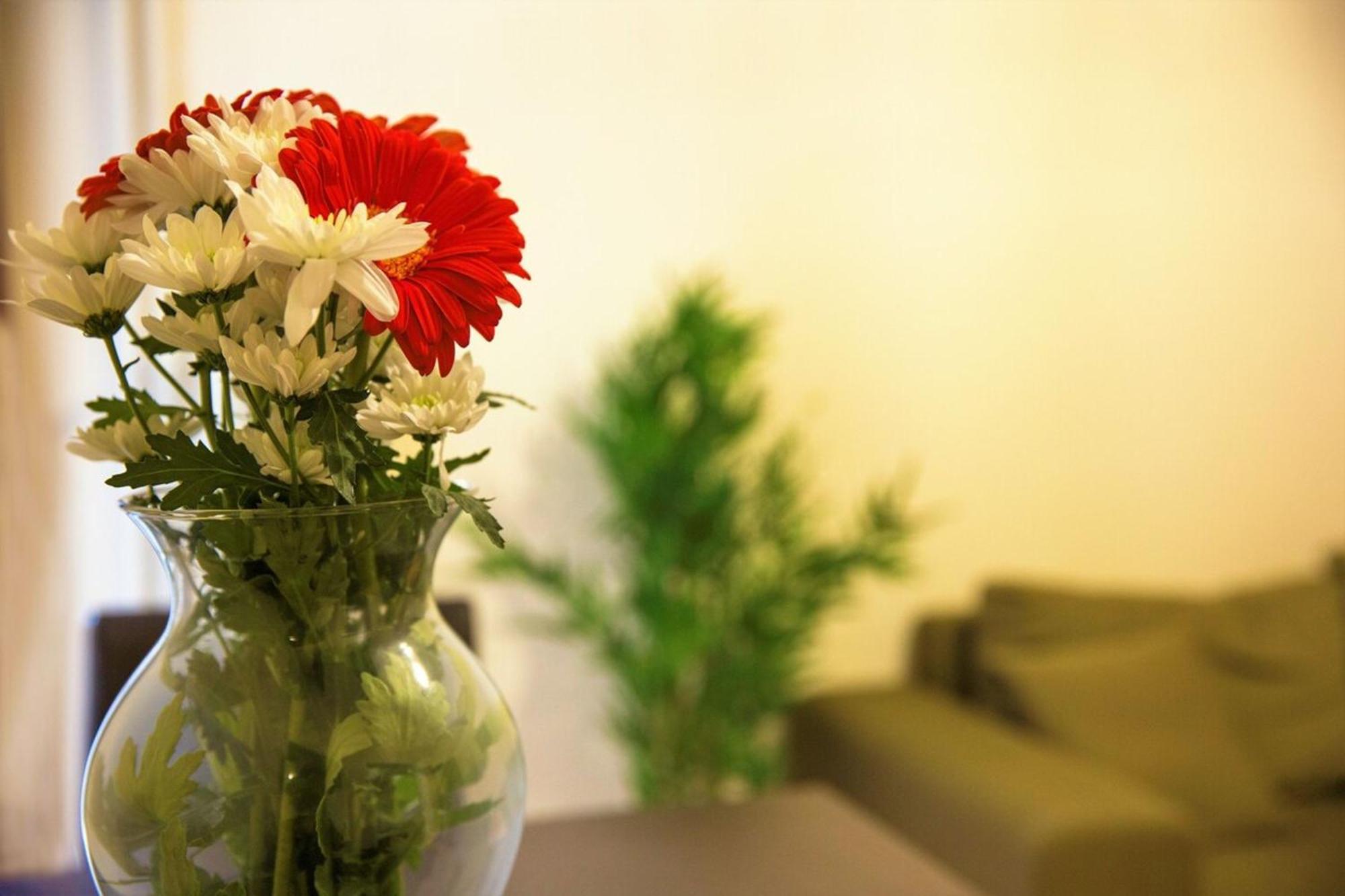 Peaceful Renovated Apartment Near Lycabettus Hill أثينا المظهر الخارجي الصورة